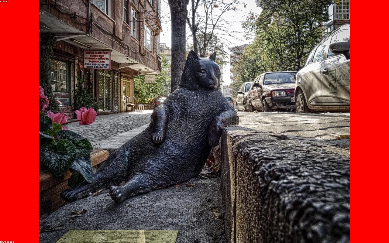 Eco Lodge Mata Atlantica