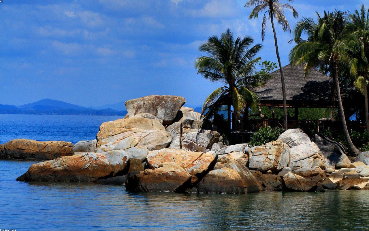 Safari Marinho em Angra