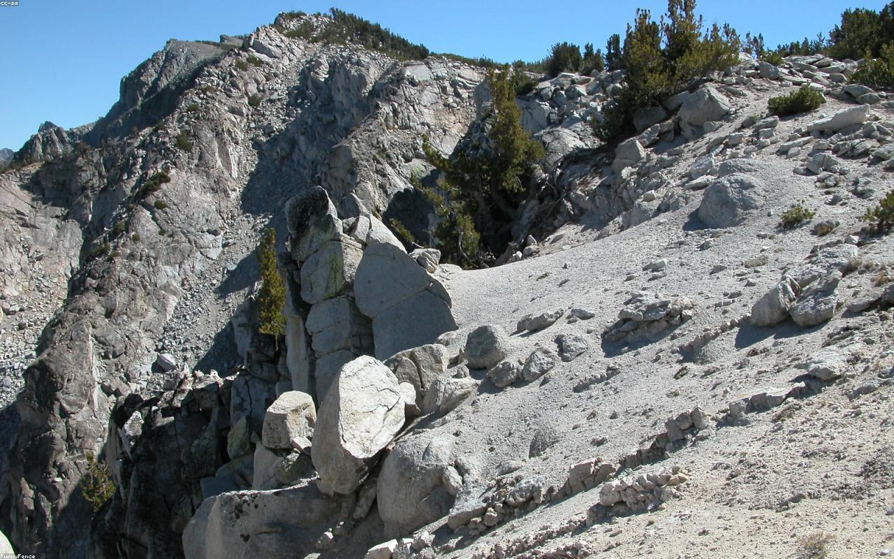 Trilha e Cachoeira na Ilha Grande